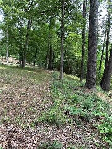 0.87 Acres of Residential Land for Sale in Hemphill, Texas