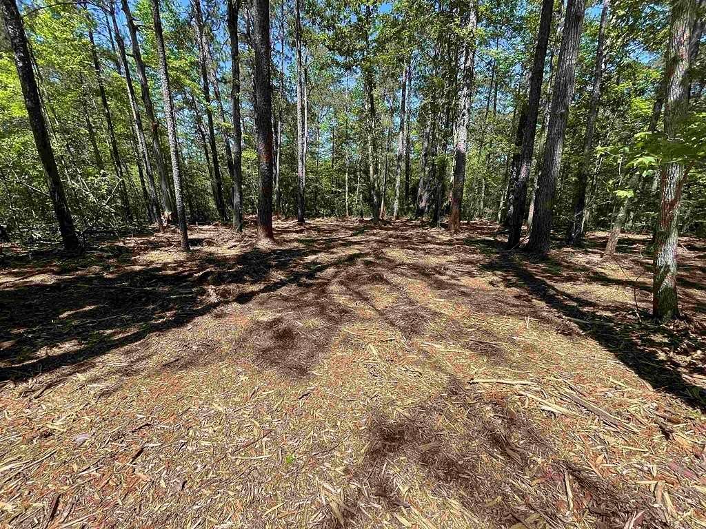 0.22 Acres of Residential Land for Sale in Brookeland, Texas