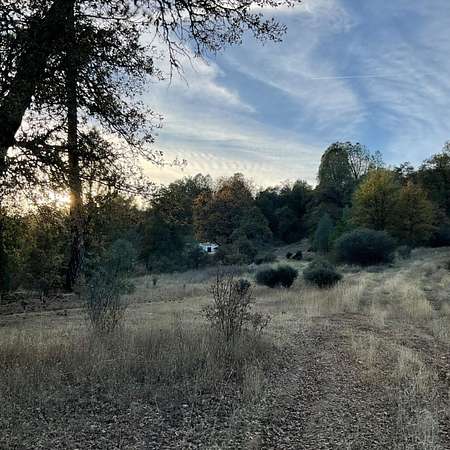 34.5 Acres of Recreational Land for Sale in Mountain Ranch, California