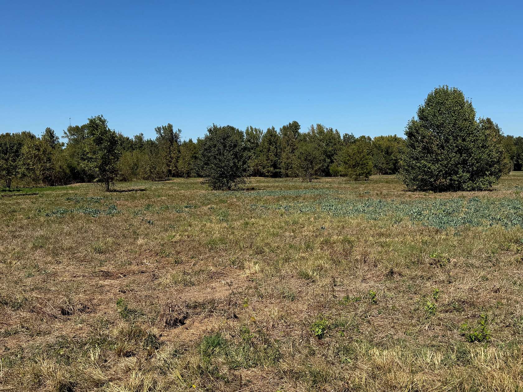 8.1 Acres of Land for Sale in New Boston, Texas