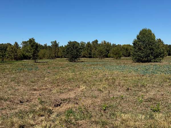 8.1 Acres of Land for Sale in New Boston, Texas