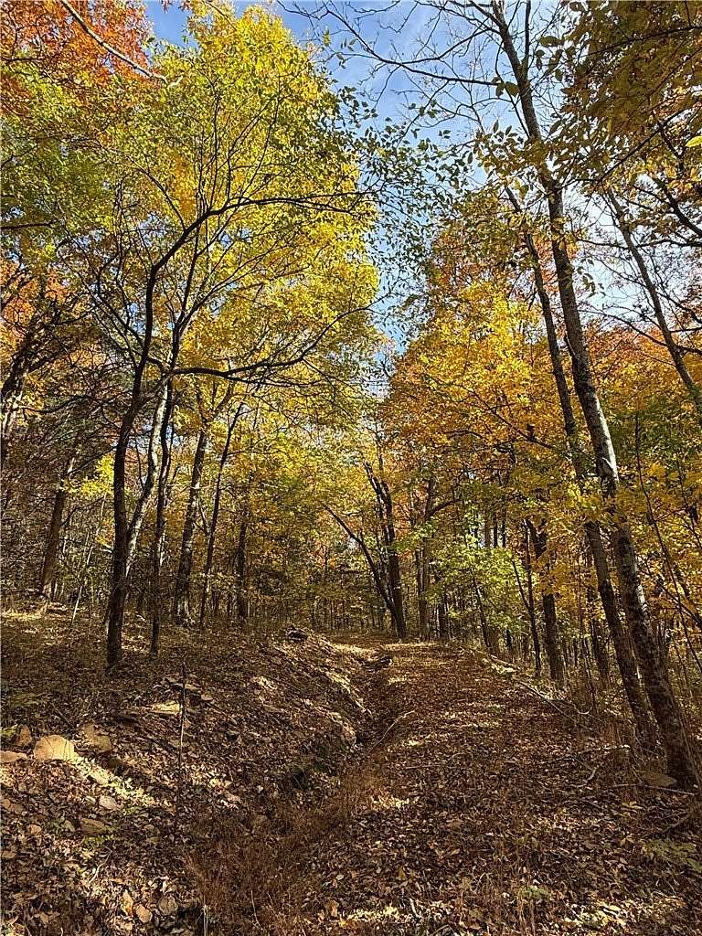 40 Acres of Recreational Land for Sale in West Fork, Arkansas