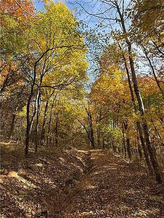 40 Acres of Recreational Land for Sale in West Fork, Arkansas