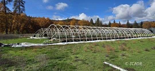 11.5 Acres of Land with Home for Sale in Hayfork, California