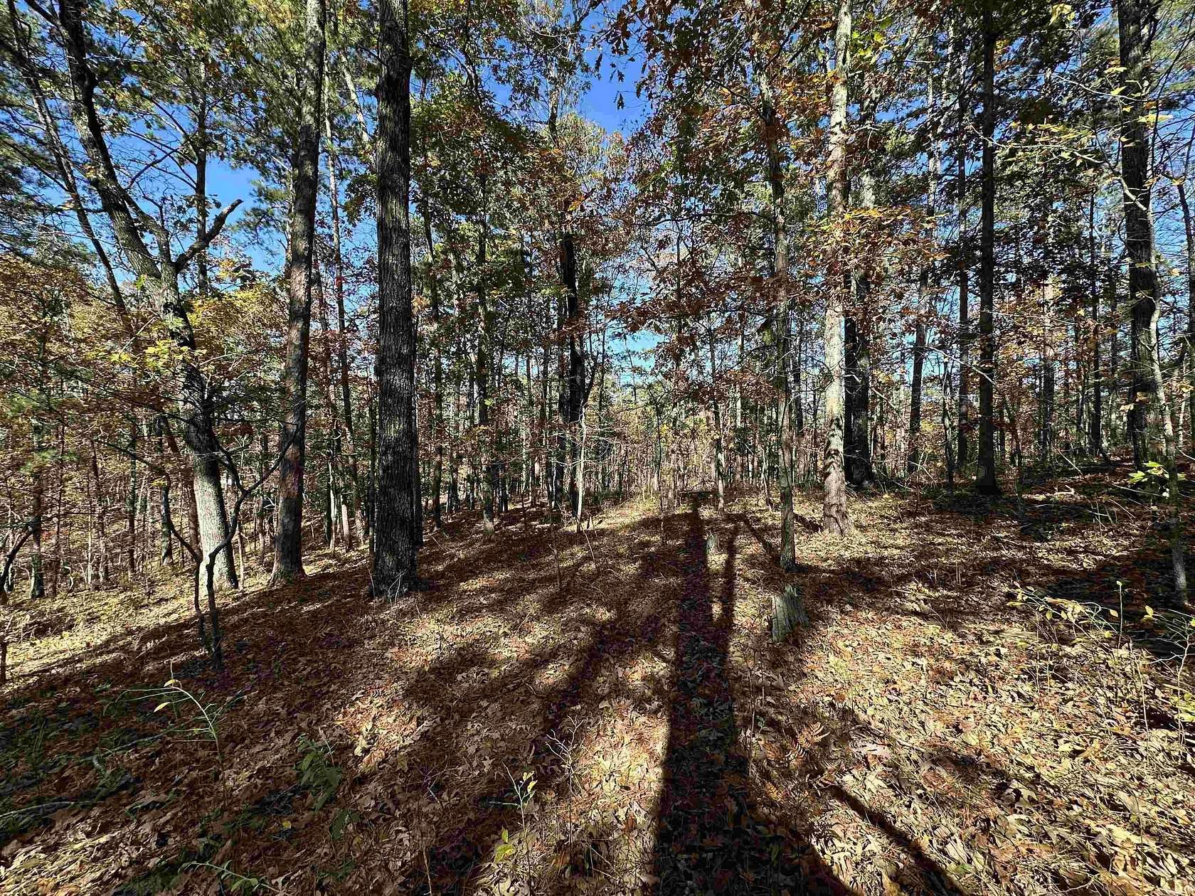 0.44 Acres of Residential Land for Sale in Hot Springs Village, Arkansas