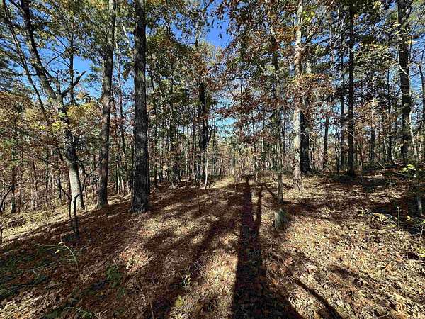 0.44 Acres of Residential Land for Sale in Hot Springs Village, Arkansas