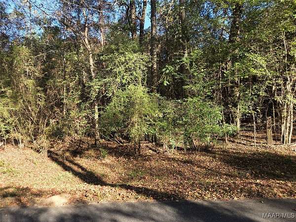 37 Acres of Recreational Land for Sale in Montgomery, Alabama