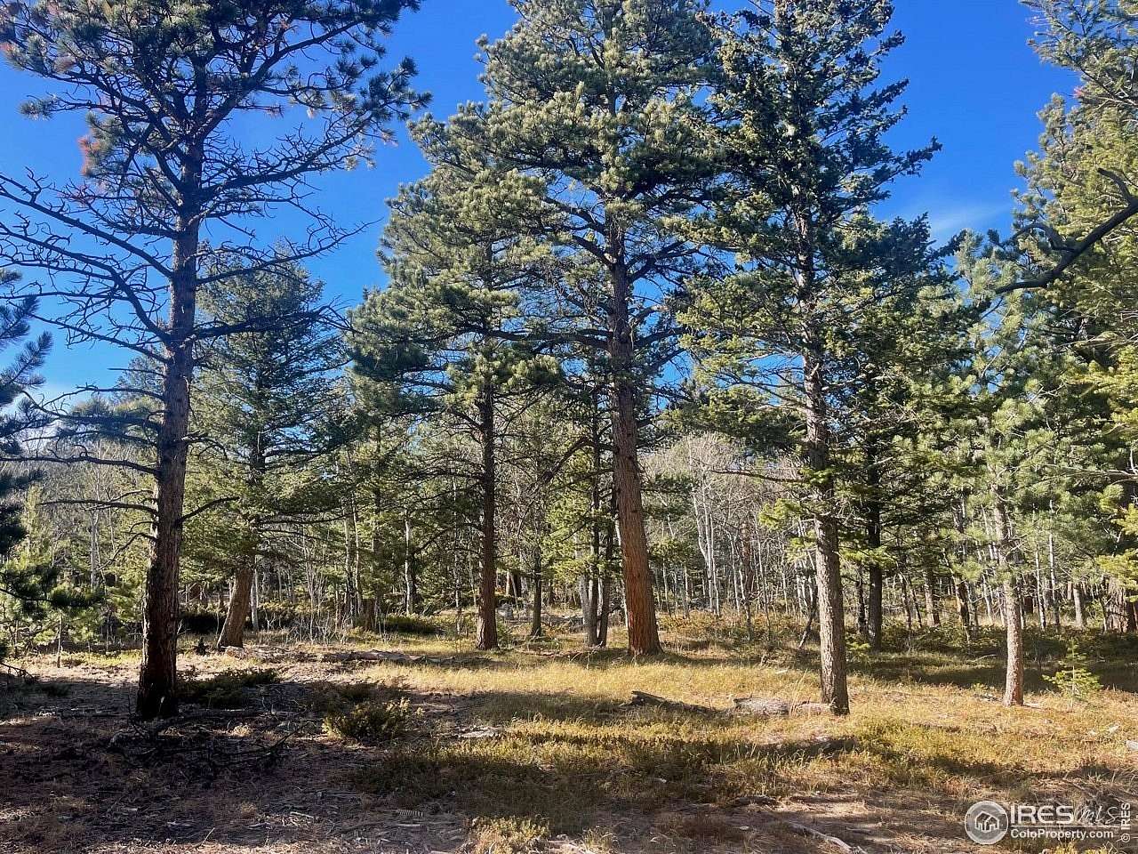 5.12 Acres of Residential Land for Sale in Allenspark, Colorado
