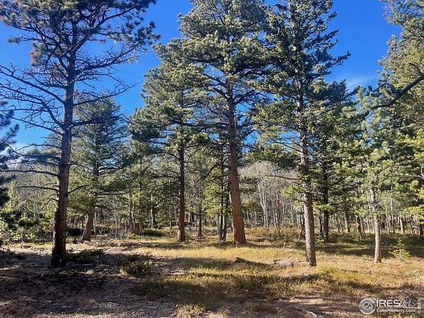 5.12 Acres of Residential Land for Sale in Allenspark, Colorado