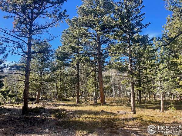 5.12 Acres of Residential Land for Sale in Allenspark, Colorado