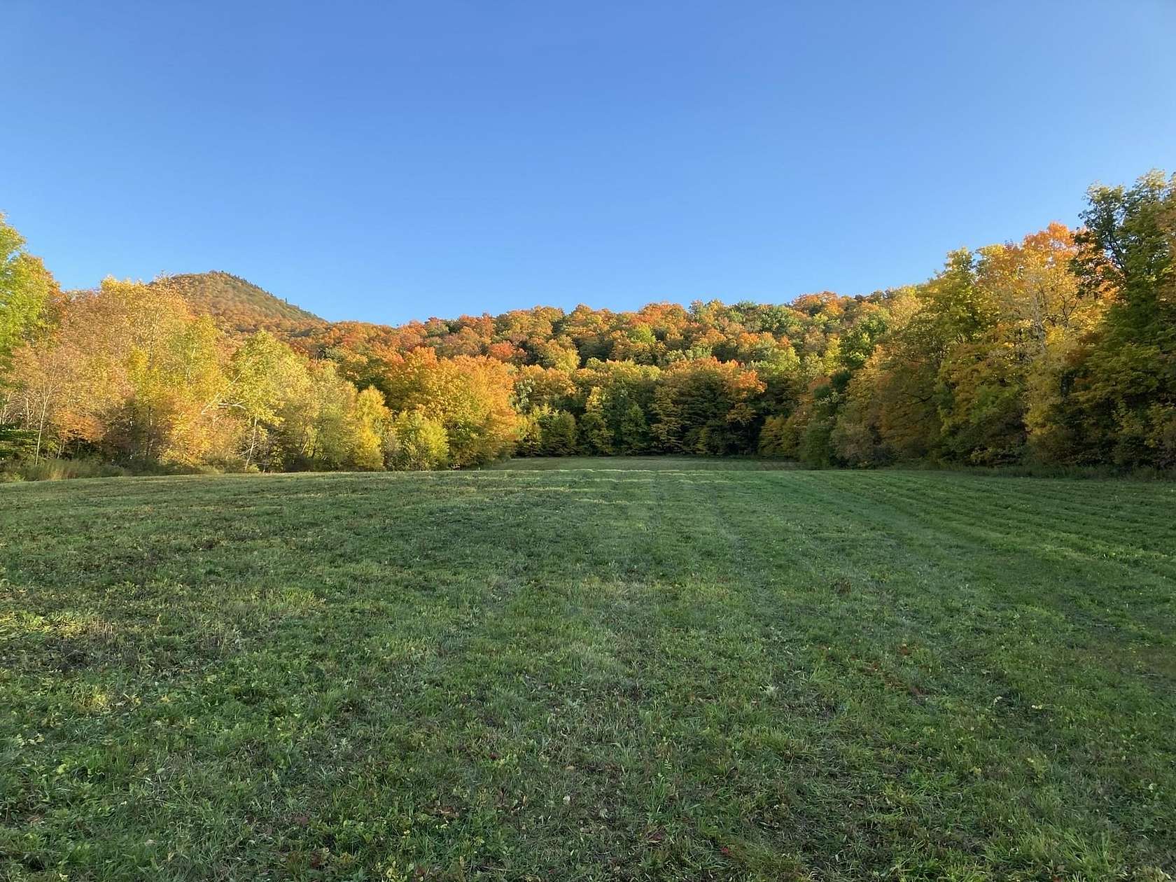 26.5 Acres of Land for Sale in Rupert, Vermont