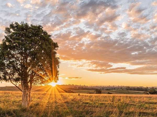 1.29 Acres of Residential Land for Sale in Cat Spring, Texas