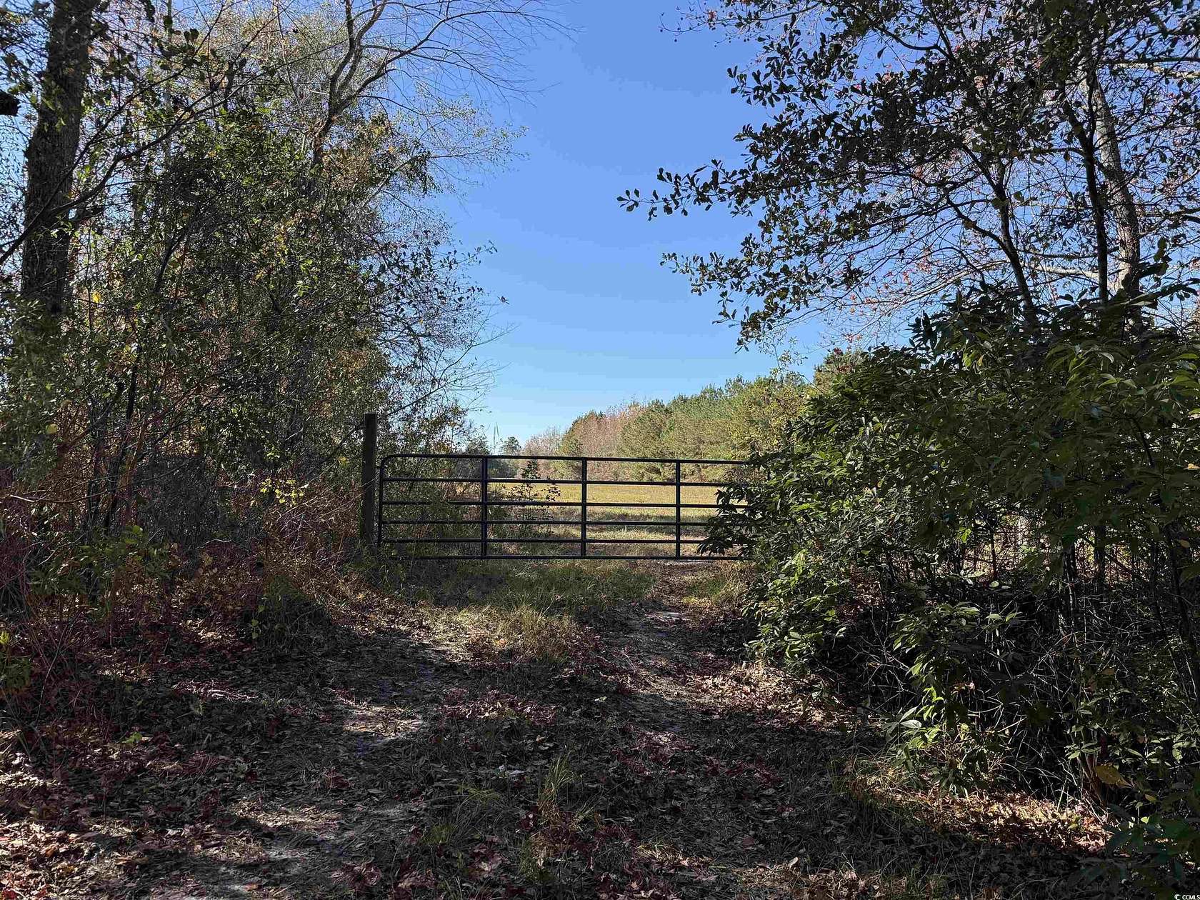 70 Acres of Recreational Land for Sale in Hemingway, South Carolina