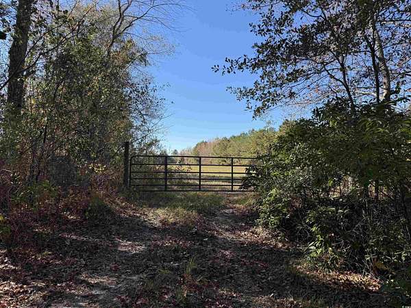 70 Acres of Recreational Land for Sale in Hemingway, South Carolina
