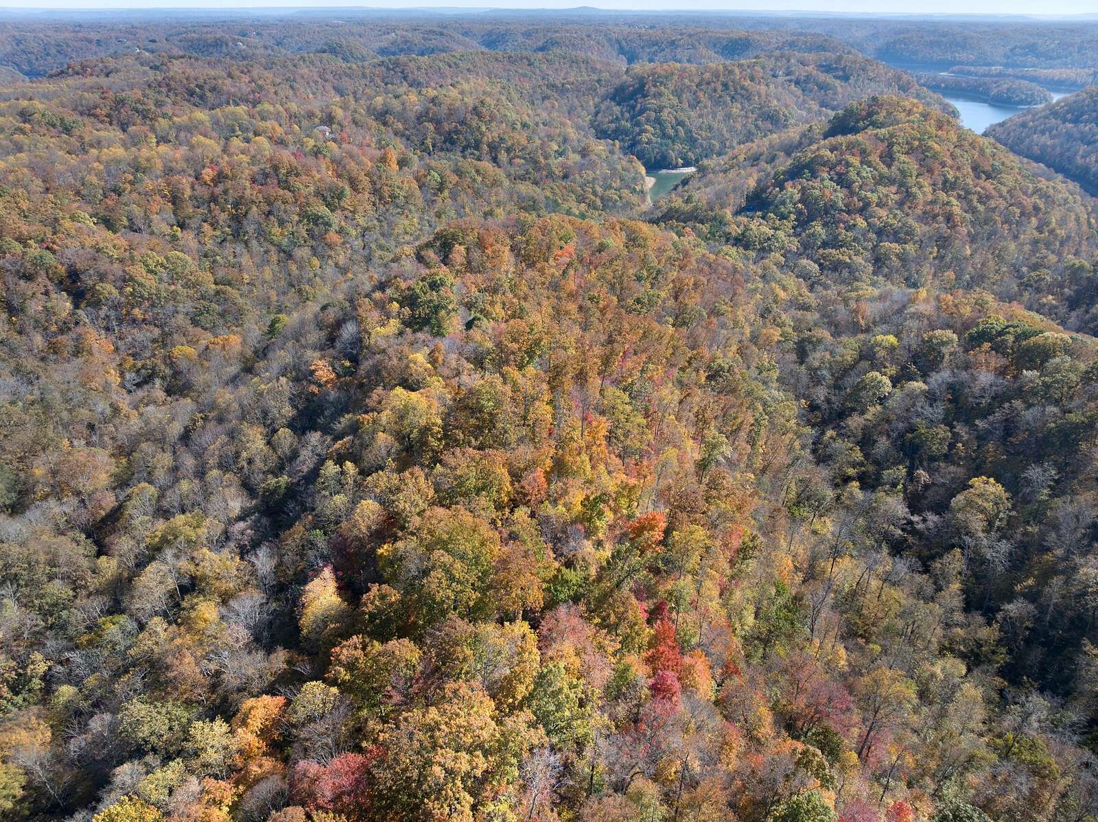 20.4 Acres of Land for Sale in Silver Point, Tennessee