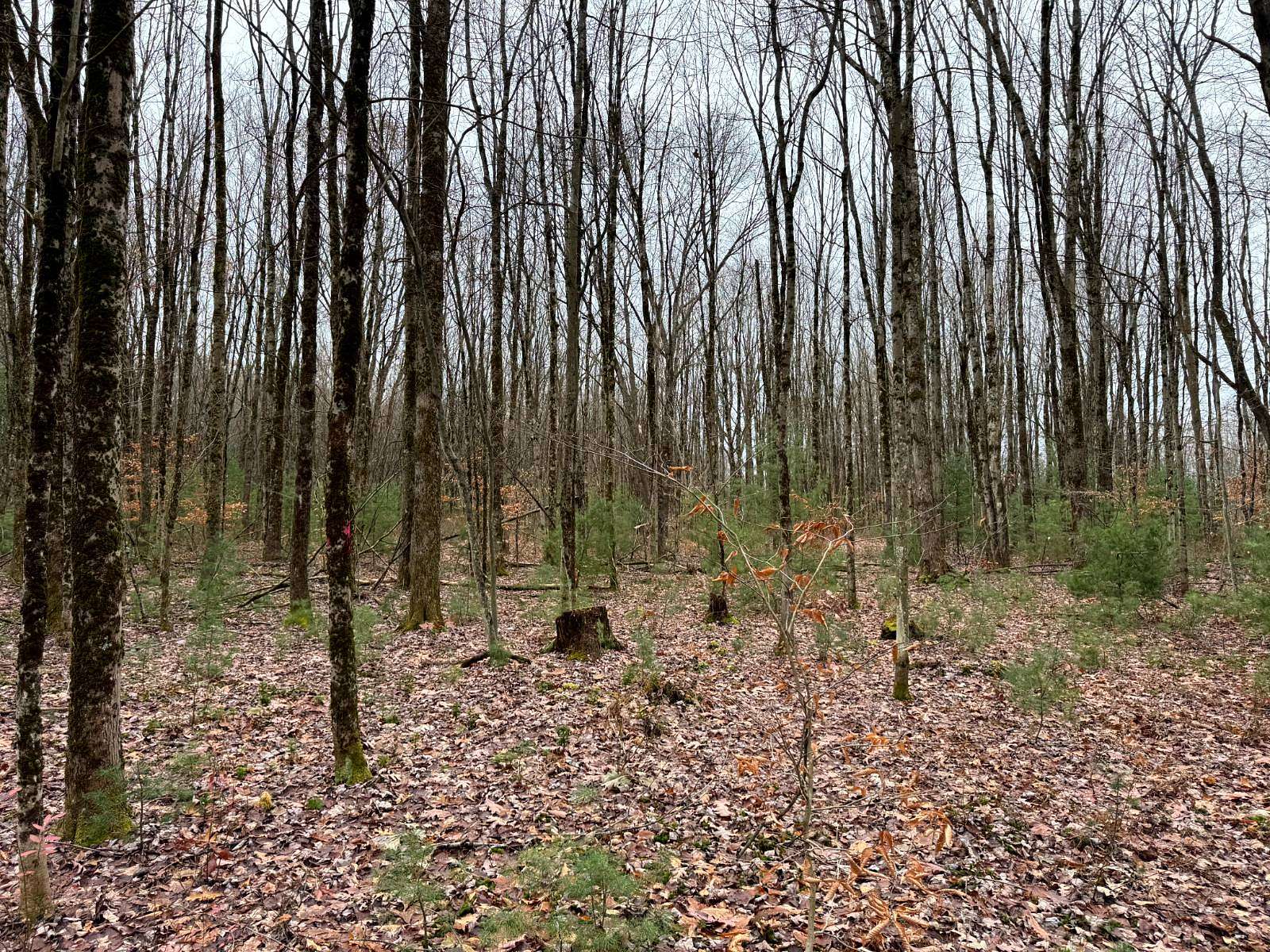 5 Acres of Residential Land for Sale in Camden, New York