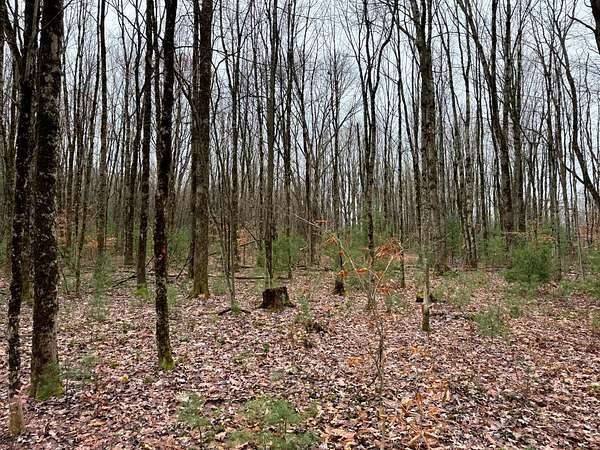 5 Acres of Residential Land for Sale in Camden, New York