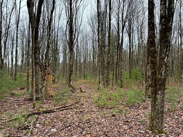 6 Acres of Residential Land for Sale in Camden, New York