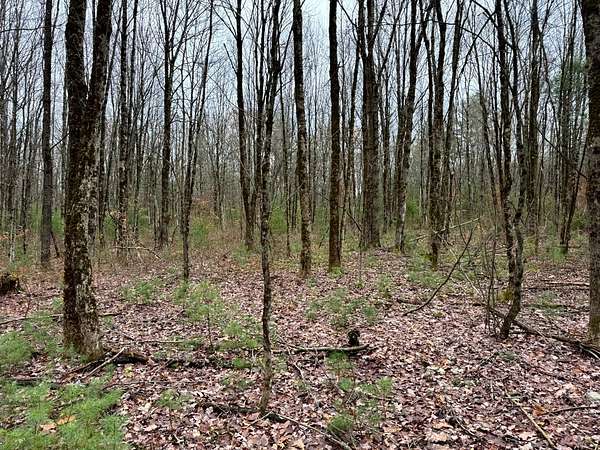 5.5 Acres of Residential Land for Sale in Camden, New York