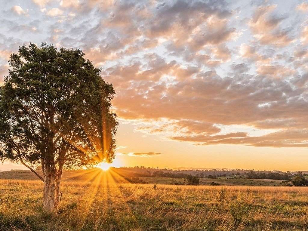 1.42 Acres of Residential Land for Sale in Cat Spring, Texas