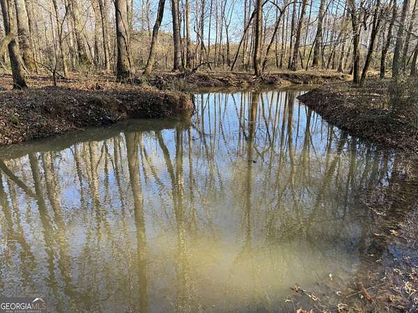 36.2 Acres of Recreational Land for Sale in Greenville, Georgia