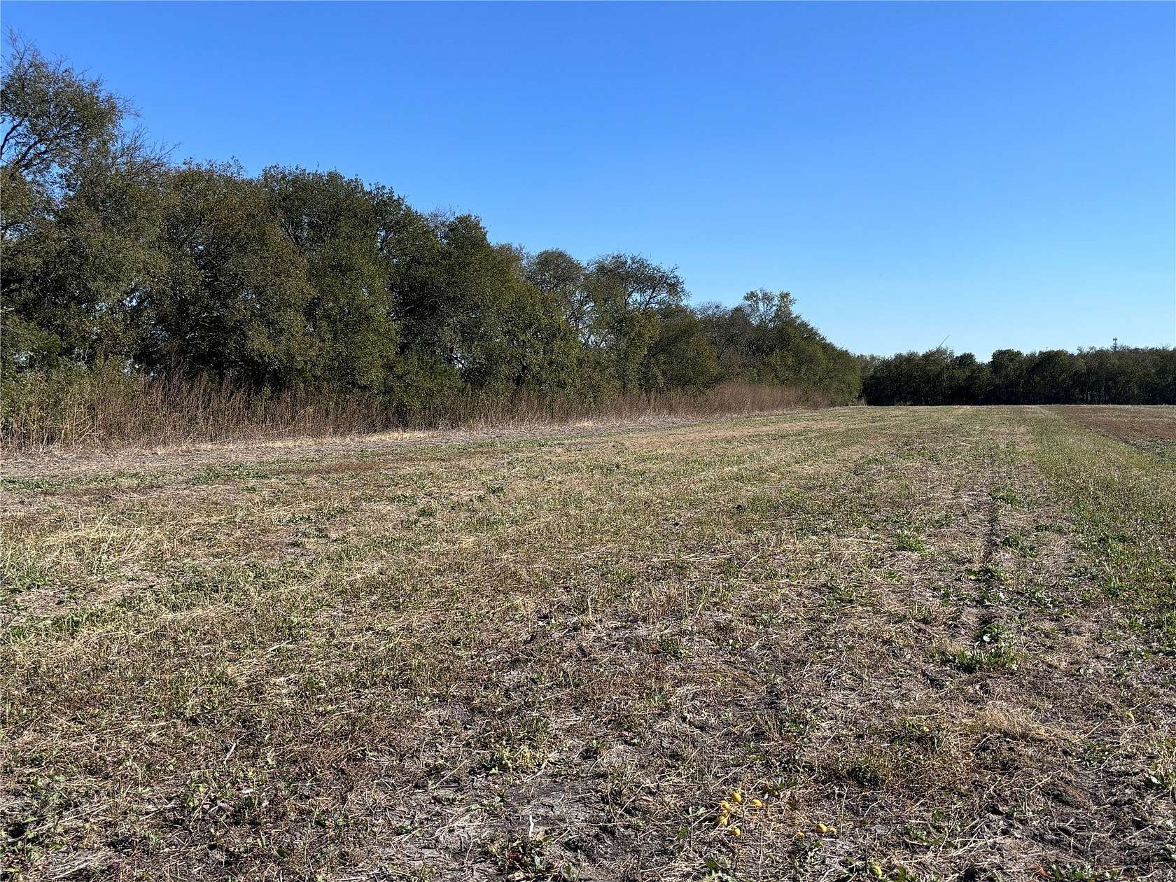 3.87 Acres of Residential Land for Sale in Mart, Texas