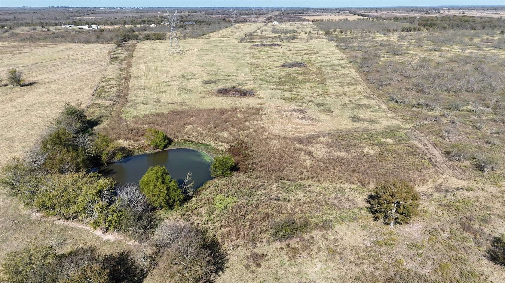 19.5 Acres of Land for Sale in Wortham, Texas
