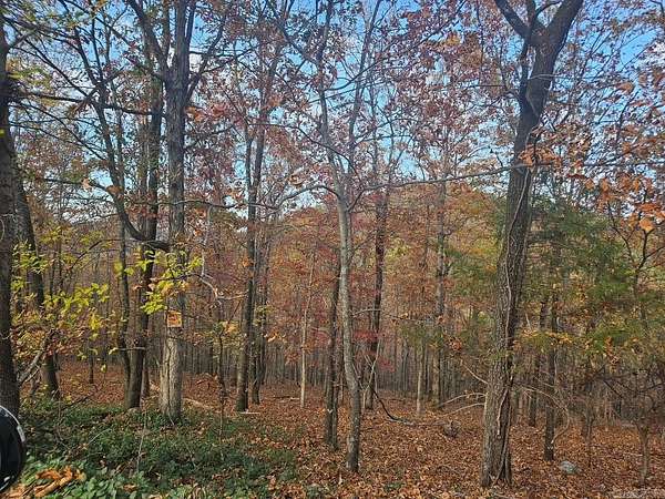 0.5 Acres of Residential Land for Sale in Hot Springs Village, Arkansas
