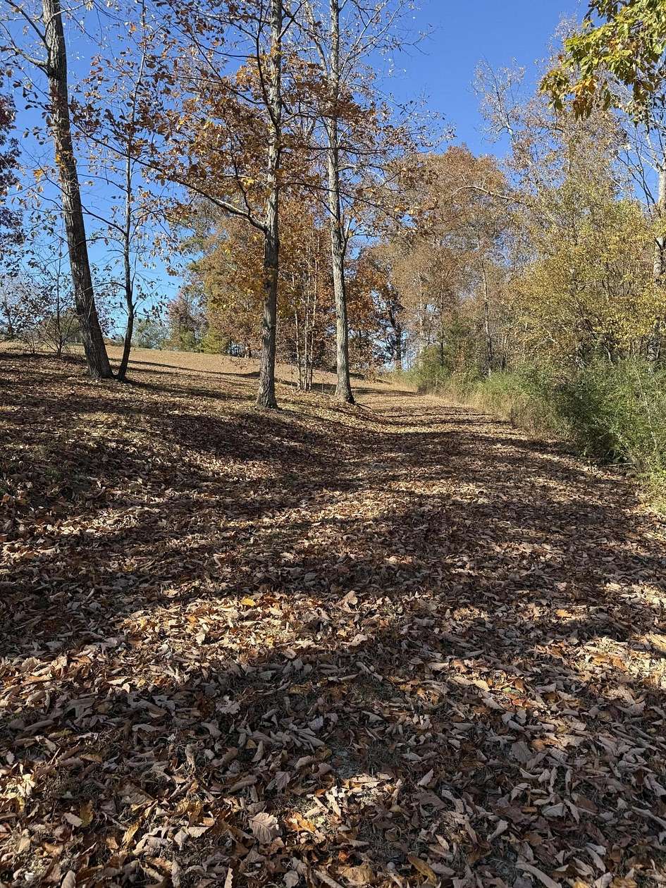 1.7 Acres of Land for Sale in Trenton, Georgia