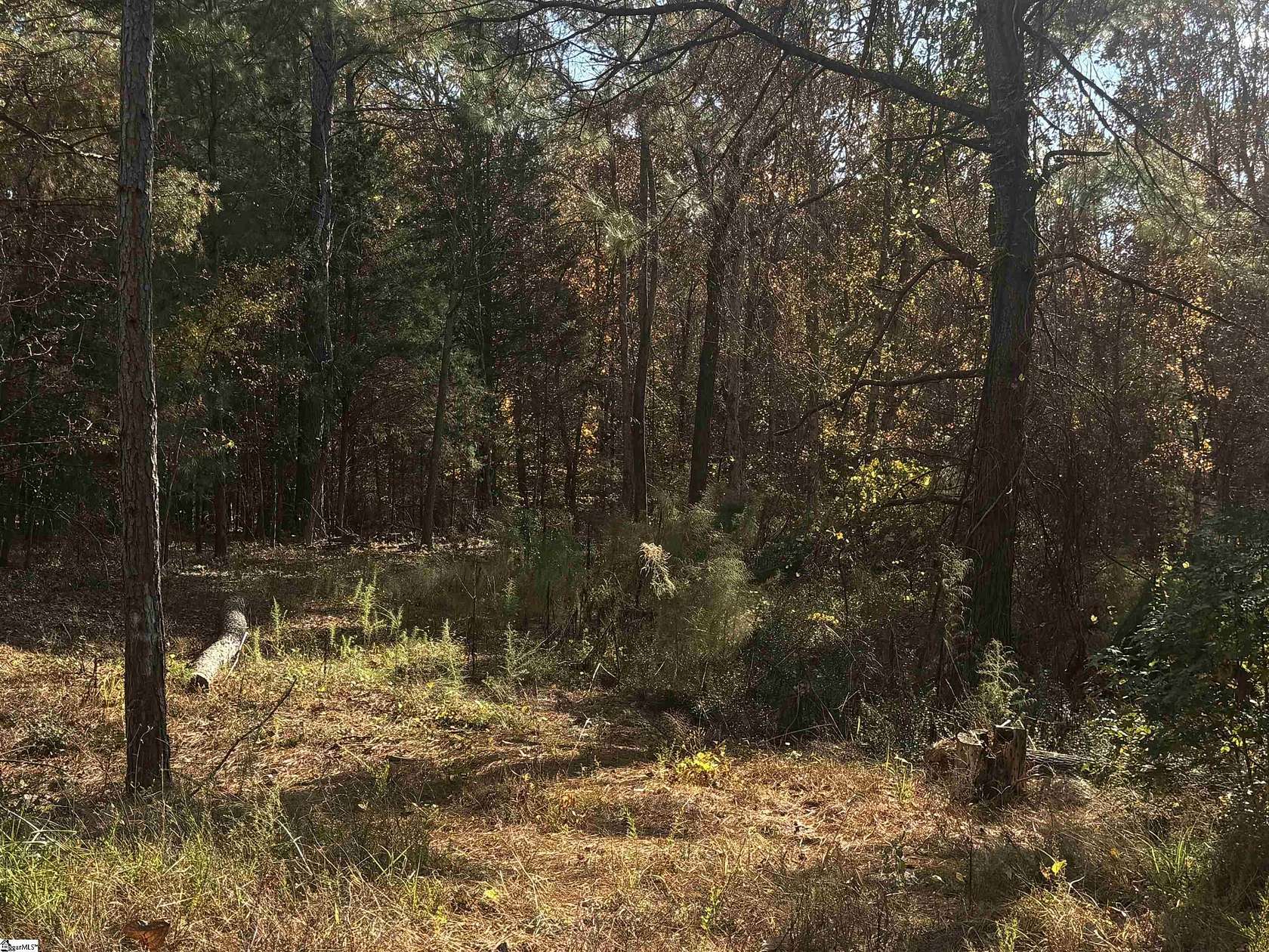 2 Acres of Residential Land for Sale in Gray Court, South Carolina