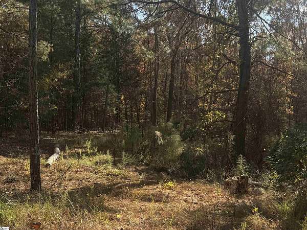 2 Acres of Residential Land for Sale in Gray Court, South Carolina