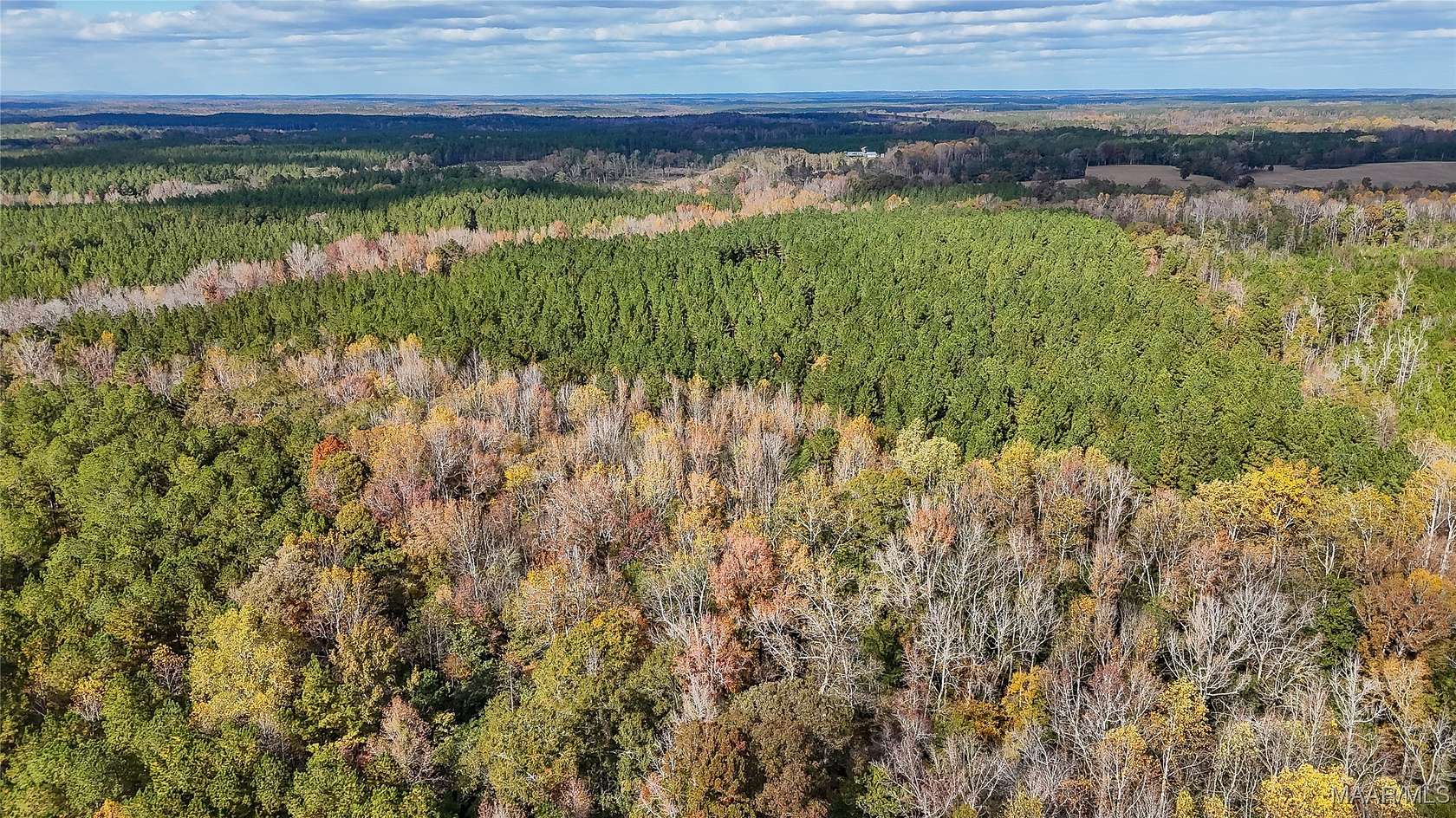 407 Acres of Recreational Land for Sale in Five Points, Alabama