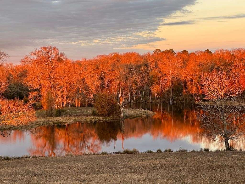 60.5 Acres of Land for Sale in Brownsboro, Texas