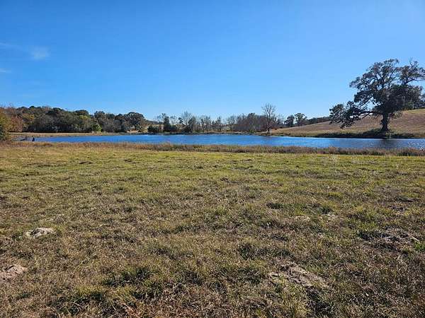 60.5 Acres of Agricultural Land for Sale in Brownsboro, Texas