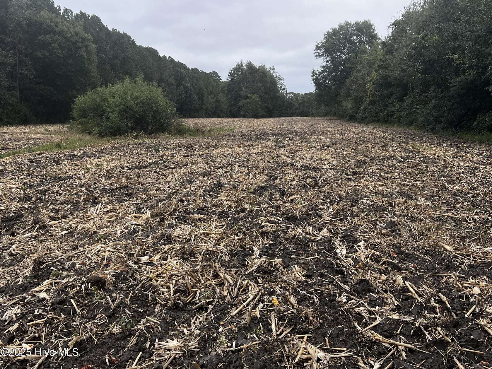 7 Acres of Residential Land for Sale in Pantego, North Carolina