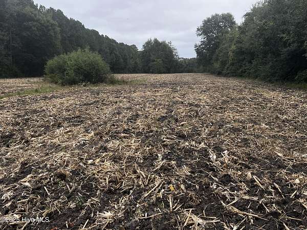 7 Acres of Residential Land for Sale in Pantego, North Carolina