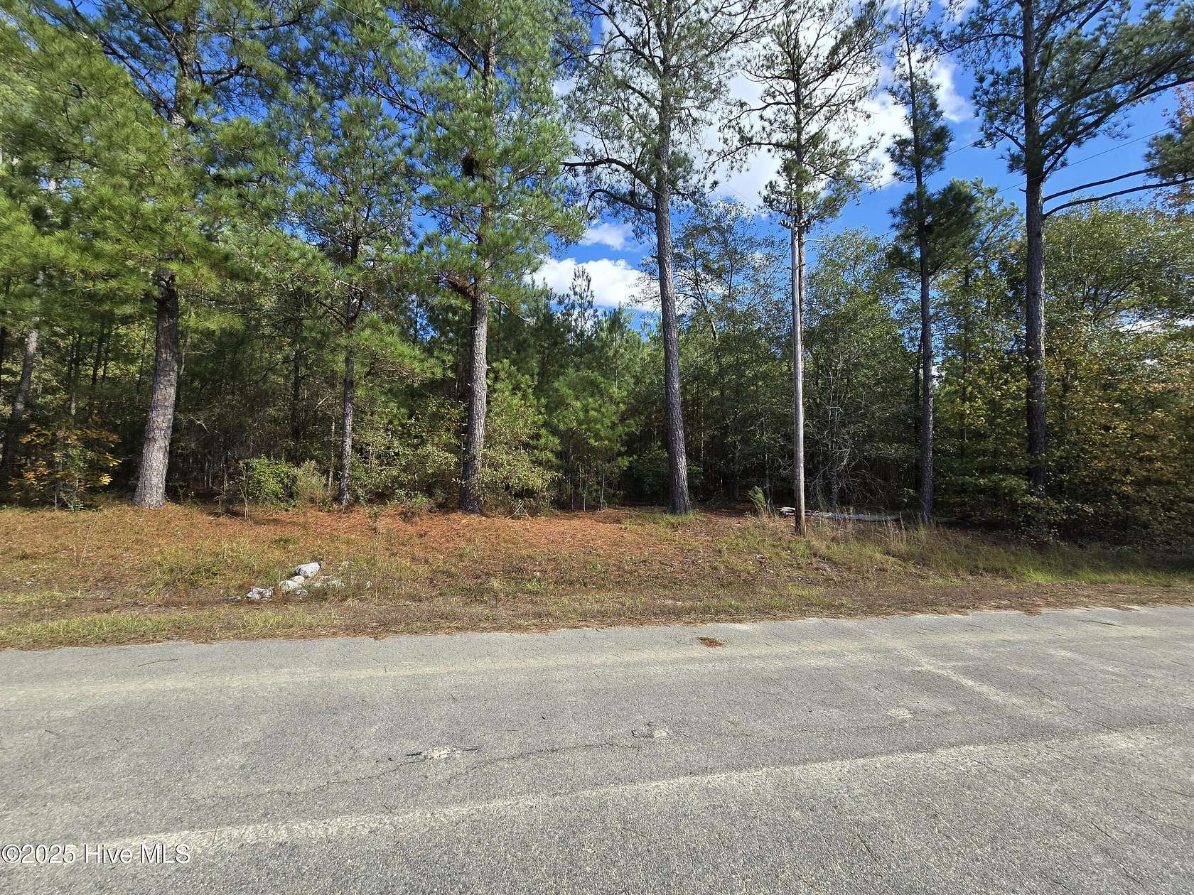 4.9 Acres of Residential Land for Sale in Rockingham, North Carolina