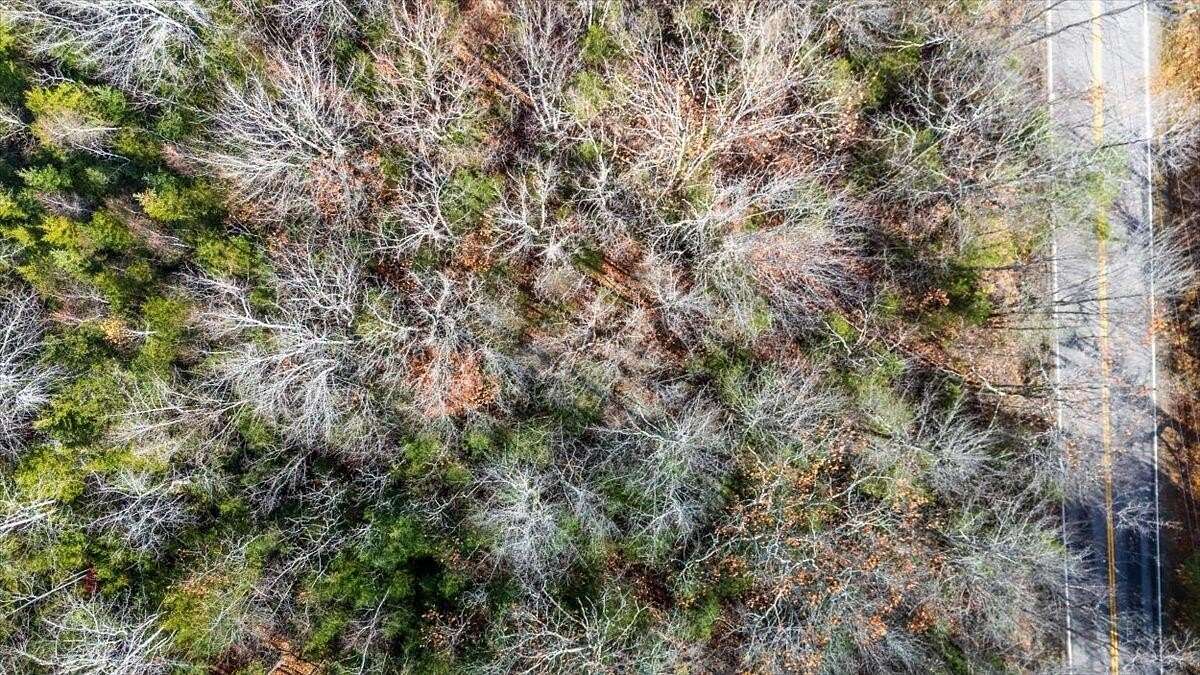 1 Acre of Land for Sale in Cushing, Maine