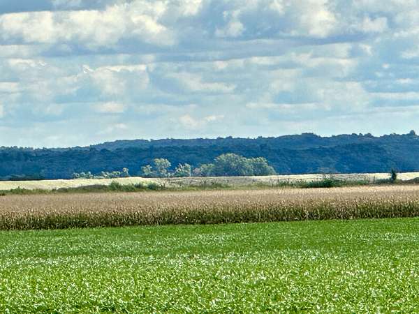 182 Acres of Agricultural Land for Auction in Onawa, Iowa