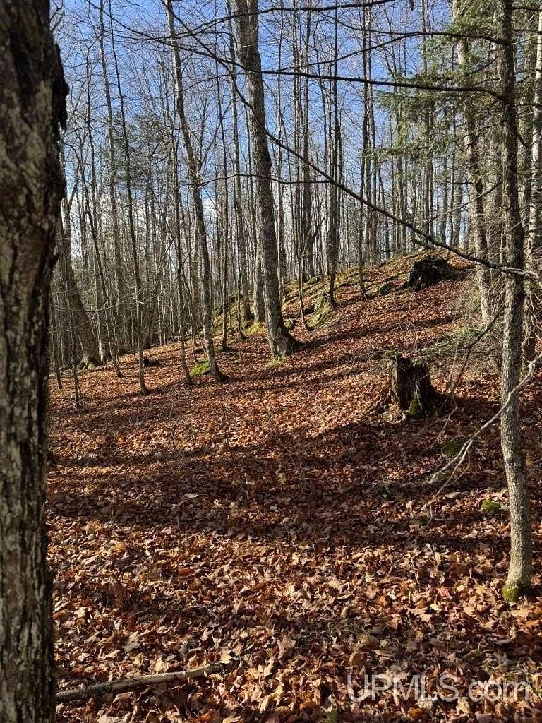 40 Acres of Recreational Land for Sale in L'Anse, Michigan