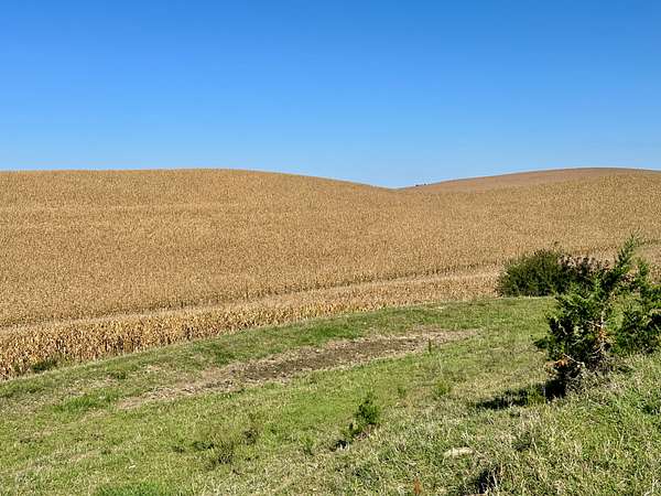 152 Acres of Agricultural Land for Auction in Mapleton, Iowa