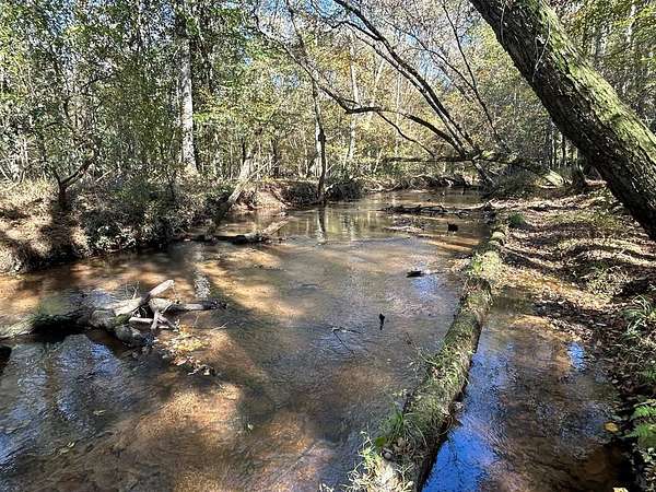230 Acres of Land for Sale in Coleman, Georgia