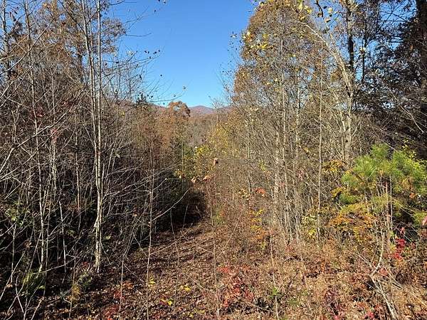 0.97 Acres of Residential Land for Sale in Marble, North Carolina