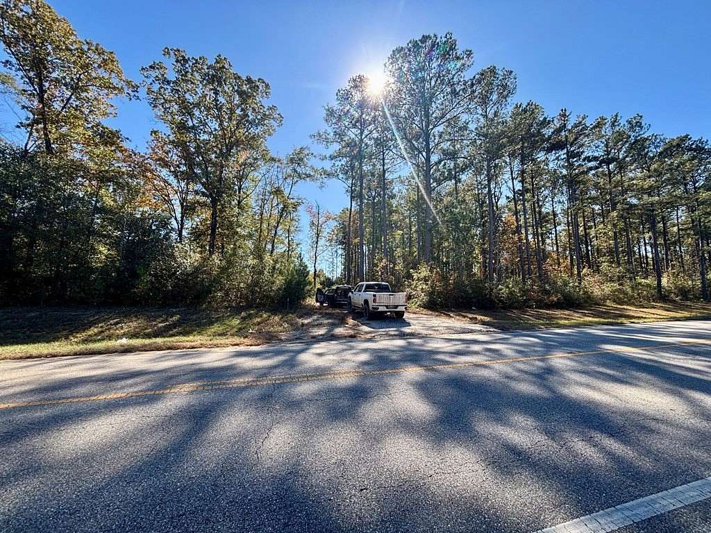 39.5 Acres of Recreational Land for Sale in Bakerhill, Alabama