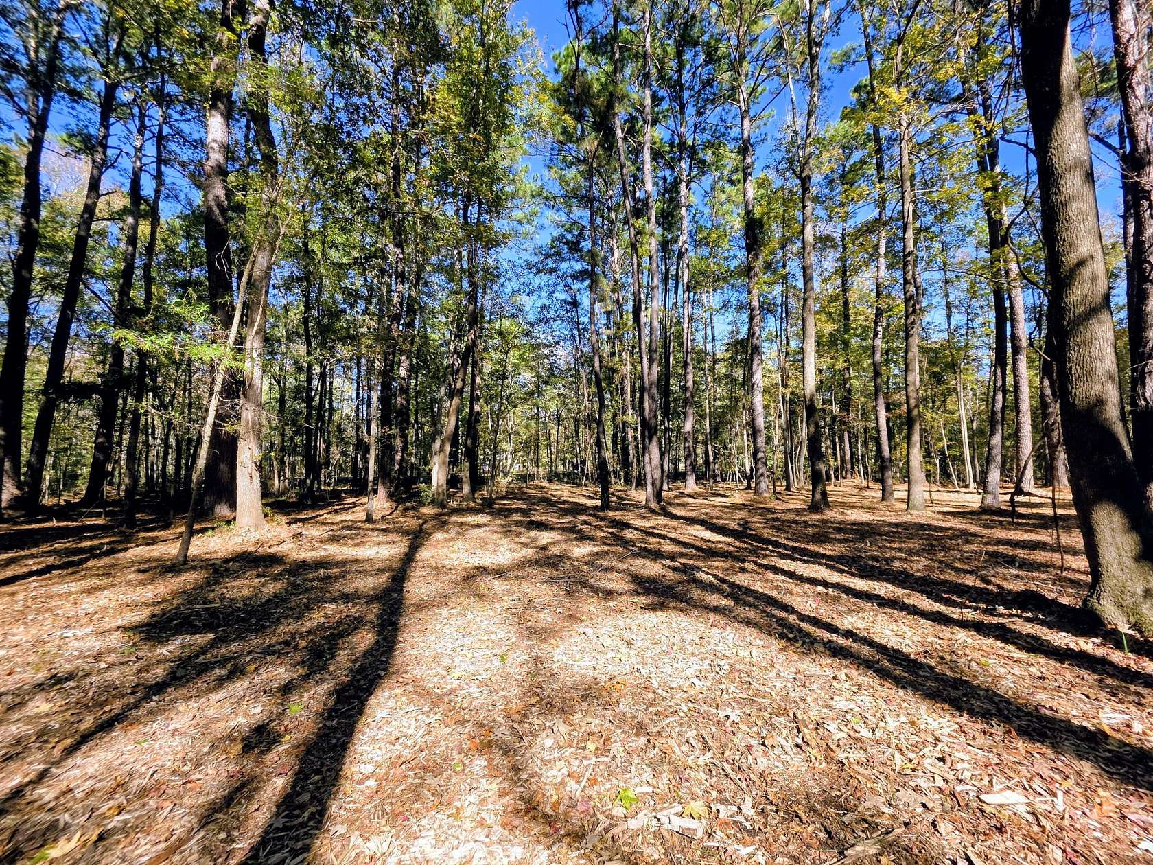 4.27 Acres of Residential Land for Sale in Johns Island, South Carolina