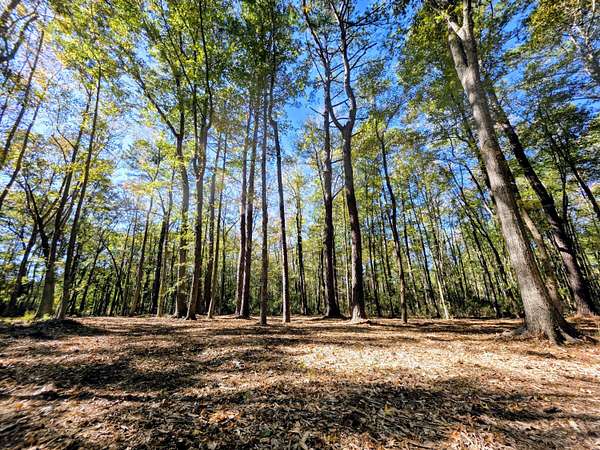 4.27 Acres of Residential Land for Sale in Johns Island, South Carolina