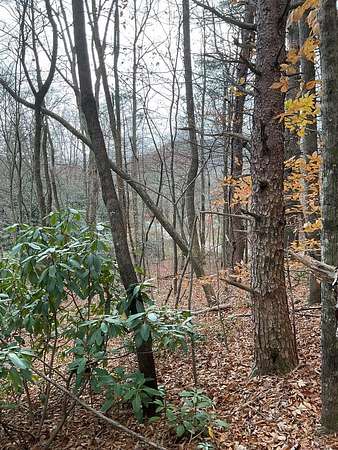 6 Acres of Residential Land for Sale in Otto, North Carolina