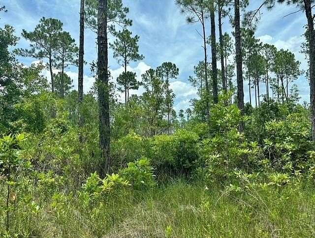 1.25 Acres of Residential Land for Sale in Palatka, Florida