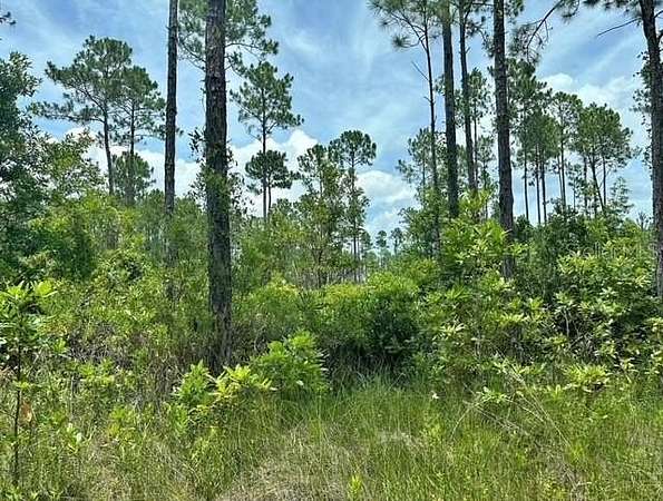 1.25 Acres of Residential Land for Sale in Palatka, Florida