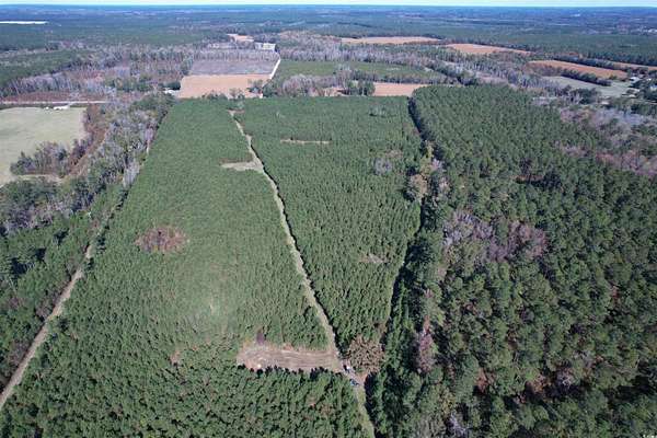 57.4 Acres of Recreational Land for Sale in Cades, South Carolina